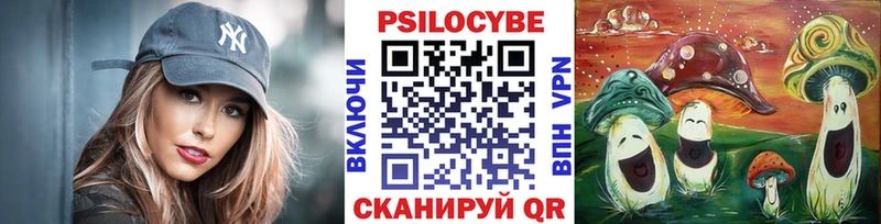 купить наркотики сайты  kraken как зайти  Галлюциногенные грибы Cubensis  Константиновск 