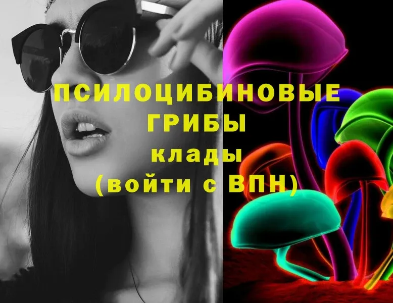 Псилоцибиновые грибы MAGIC MUSHROOMS  Константиновск 